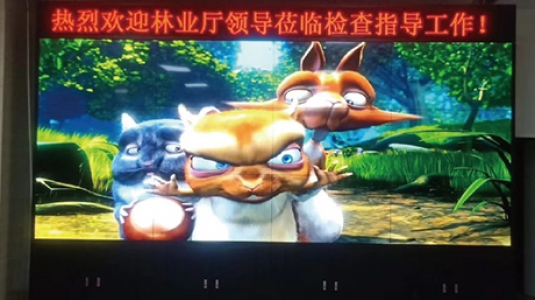 浙江紹興某政府機關(guān)液晶拼接屏